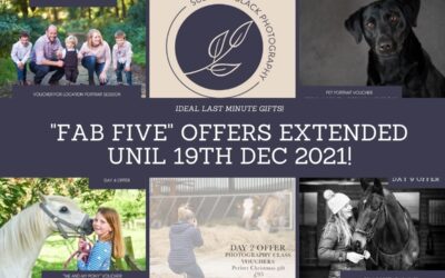 12 Days of Christmas – Day 12 – “The Fab five” offers are extended…